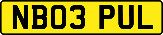 NB03PUL