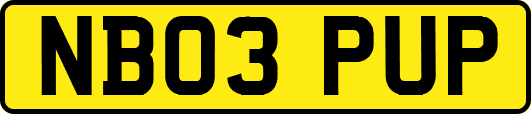 NB03PUP