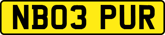 NB03PUR