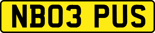 NB03PUS