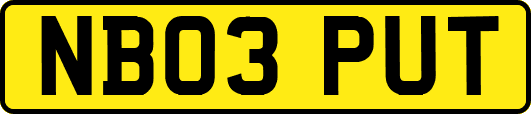 NB03PUT