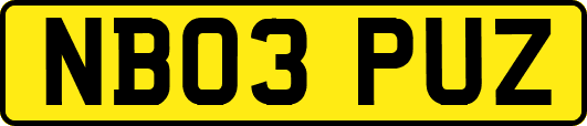 NB03PUZ