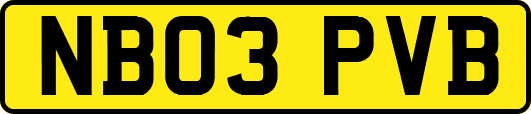 NB03PVB