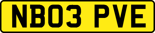 NB03PVE