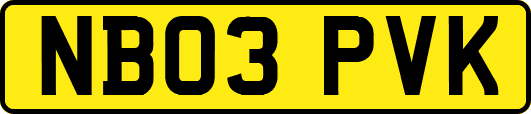 NB03PVK