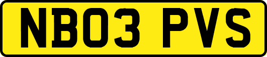 NB03PVS
