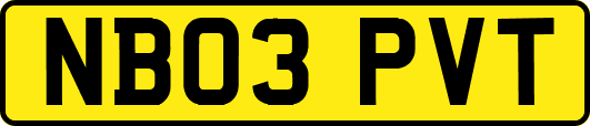 NB03PVT