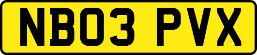 NB03PVX