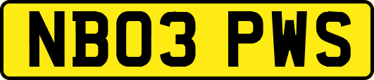 NB03PWS