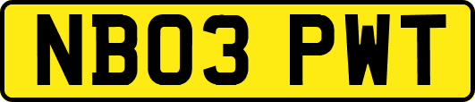 NB03PWT