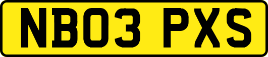 NB03PXS