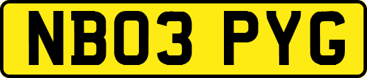 NB03PYG