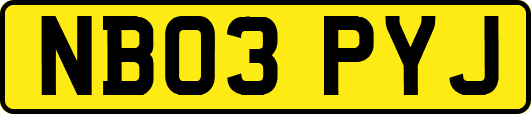 NB03PYJ