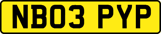 NB03PYP
