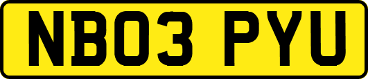 NB03PYU