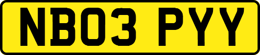 NB03PYY