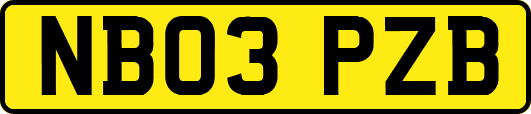 NB03PZB