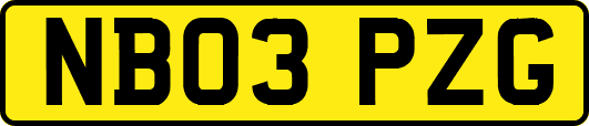 NB03PZG