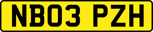 NB03PZH