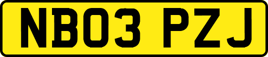NB03PZJ