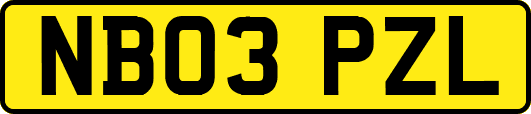 NB03PZL