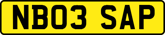NB03SAP