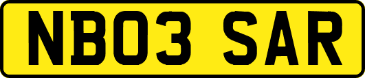 NB03SAR