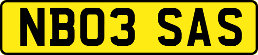 NB03SAS