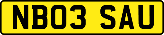 NB03SAU