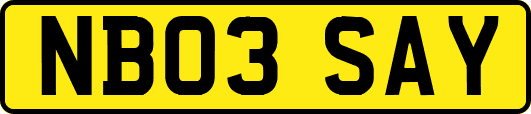 NB03SAY
