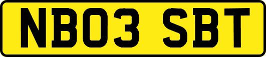 NB03SBT