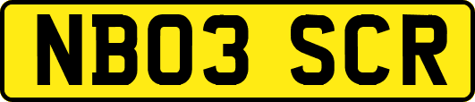 NB03SCR