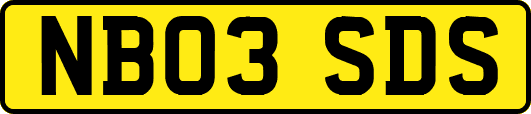 NB03SDS