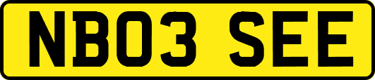 NB03SEE