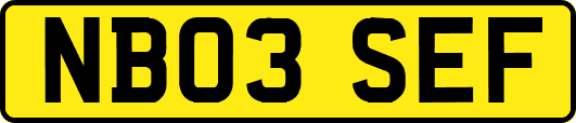 NB03SEF