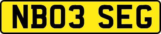 NB03SEG
