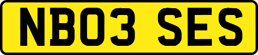 NB03SES