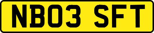 NB03SFT
