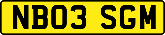 NB03SGM