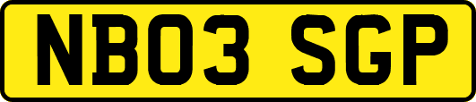 NB03SGP