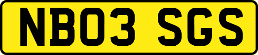 NB03SGS