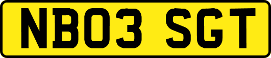 NB03SGT