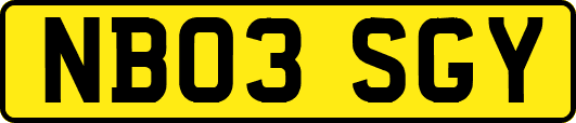 NB03SGY