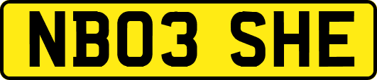 NB03SHE