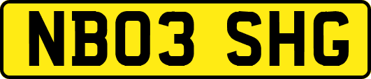 NB03SHG