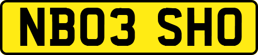 NB03SHO