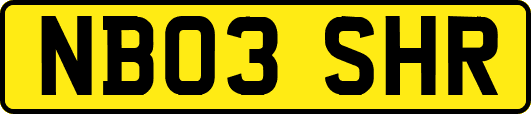 NB03SHR