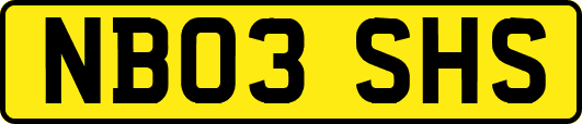 NB03SHS