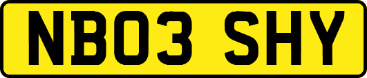 NB03SHY