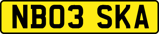 NB03SKA